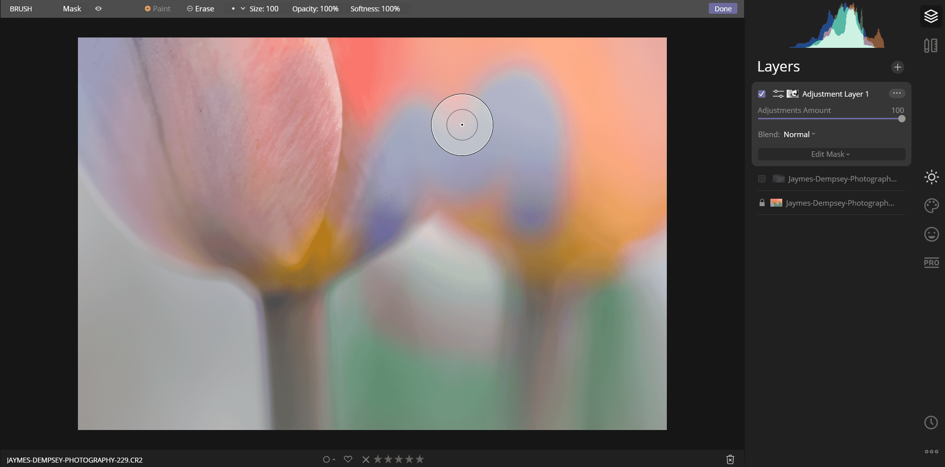 photo editing layers program for mac